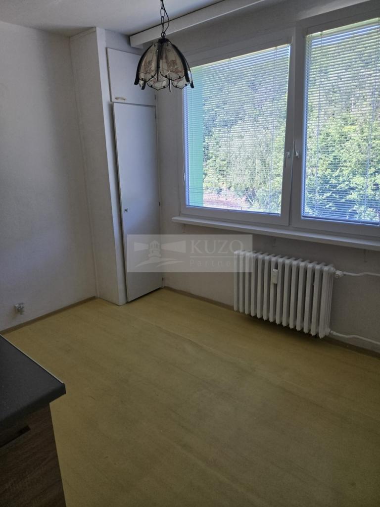 Pronájem bytu 1+1 41 m2