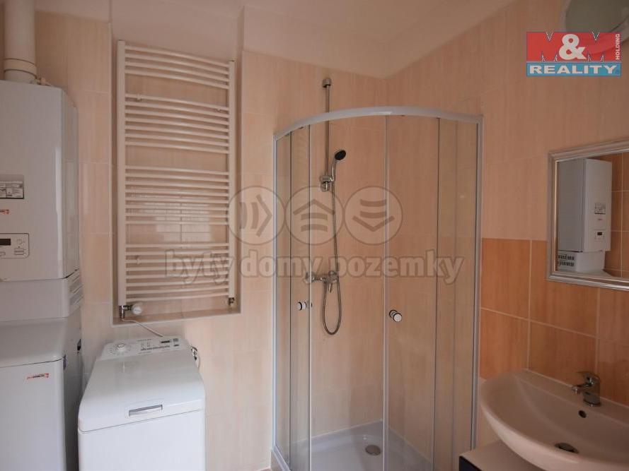 Pronajem bytu dům 282 m2