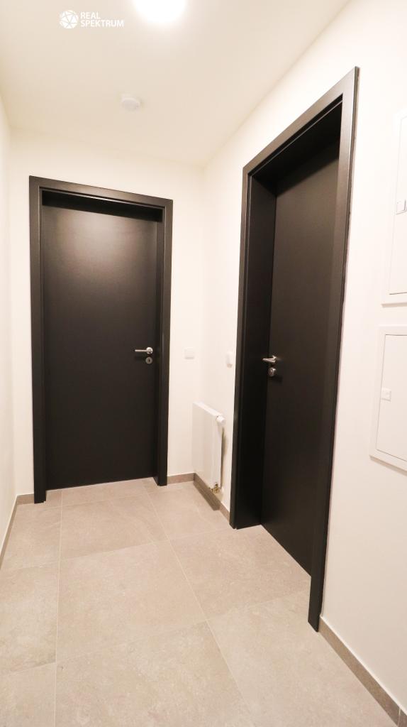 Pronájem bytu 1+kk 39 m2
