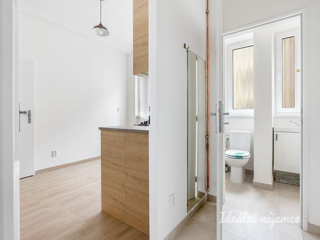 Pronájem bytu 1+1 35 m2
