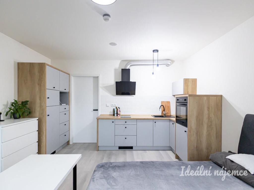 Pronájem bytu 1+kk 25 m2