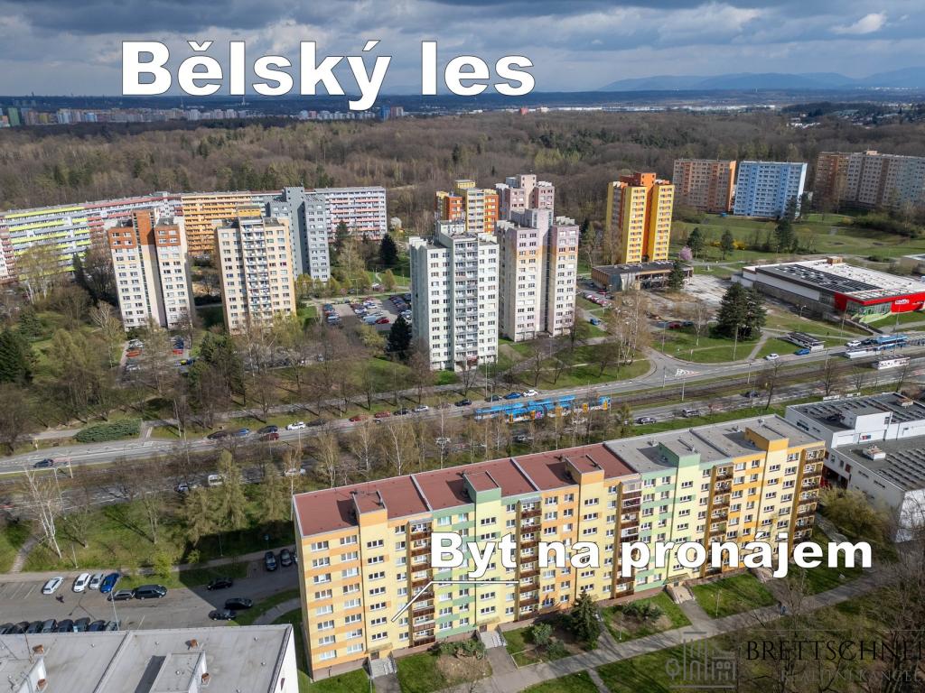 Pronájem bytu 1+1 40 m2