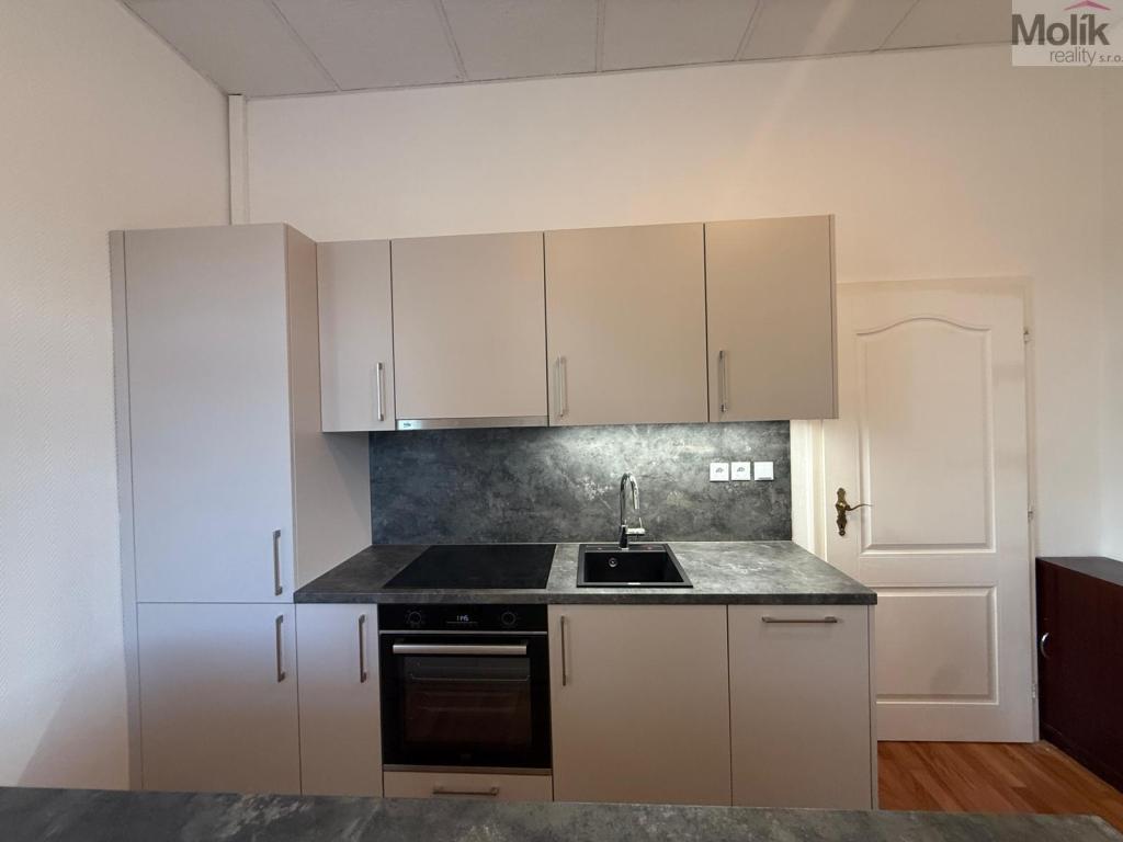 Pronájem bytu 3+1 150 m² – pohled 4