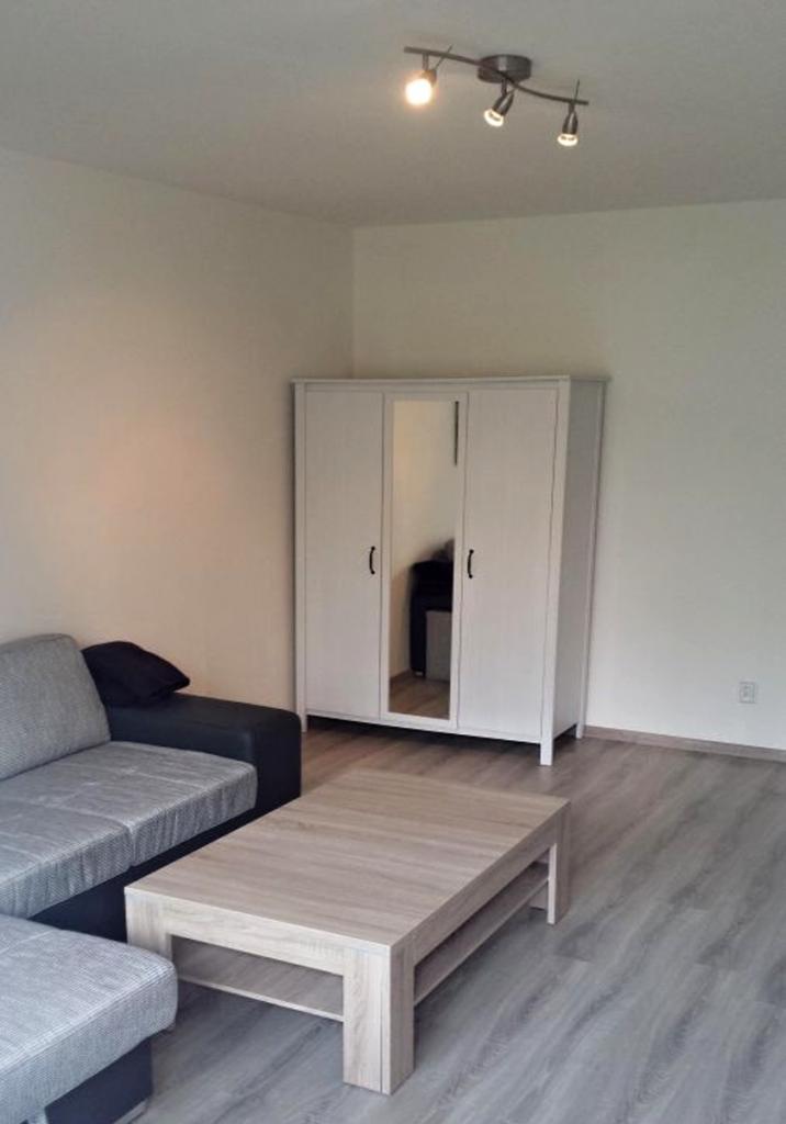 Pronajem bytu 2+1 55 m2