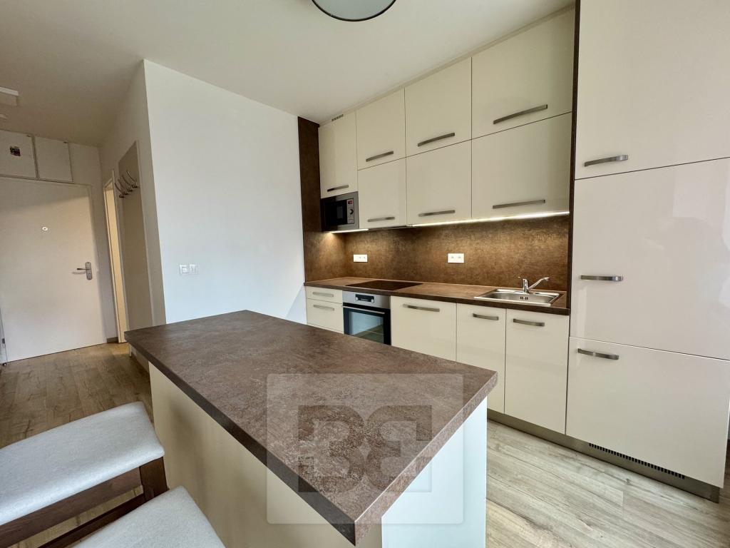 Pronájem bytu 1+kk 44 m2