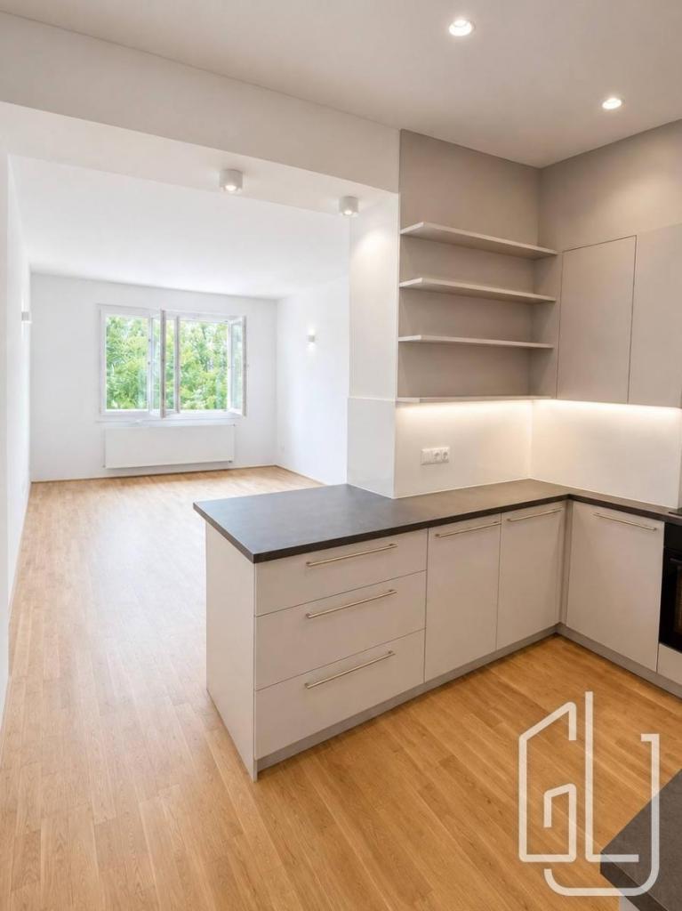 Pronájem bytu 2+kk 55 m2