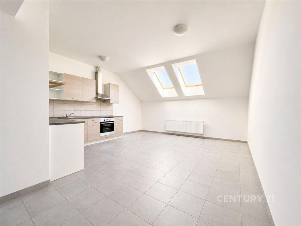 Pronájem bytu 3+kk 105 m2