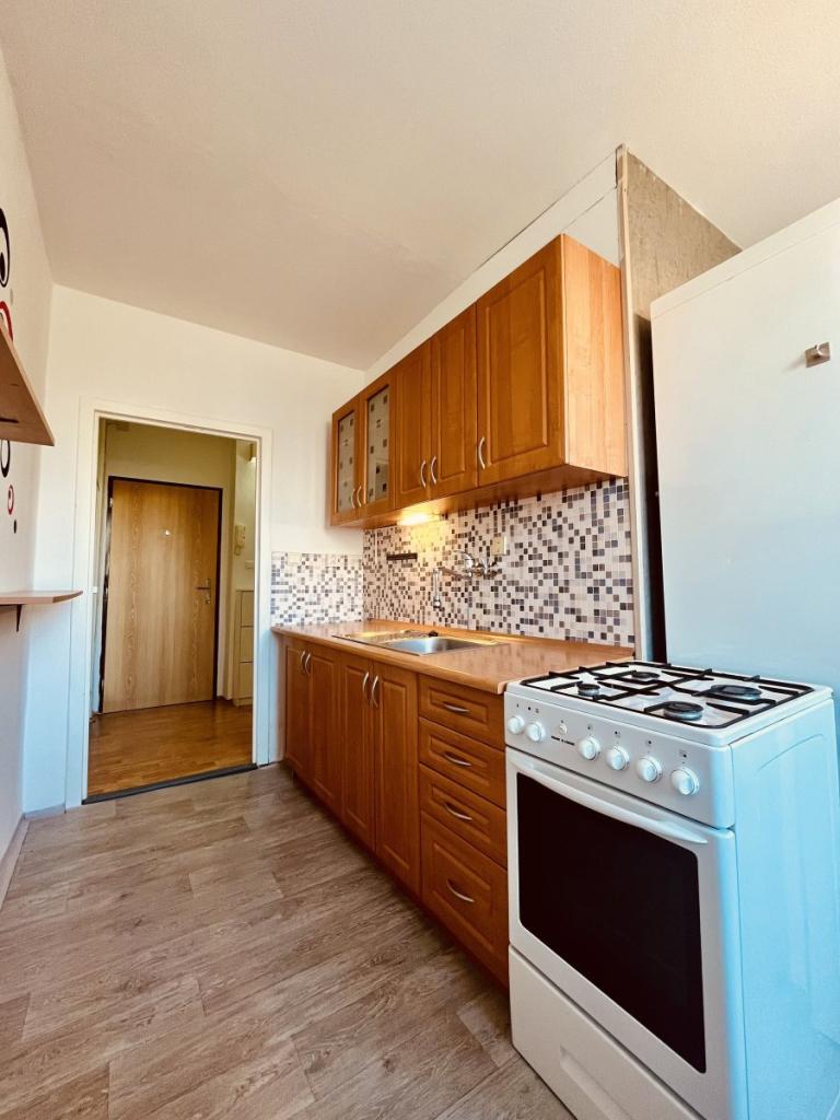 Pronájem bytu 1+1 38 m2