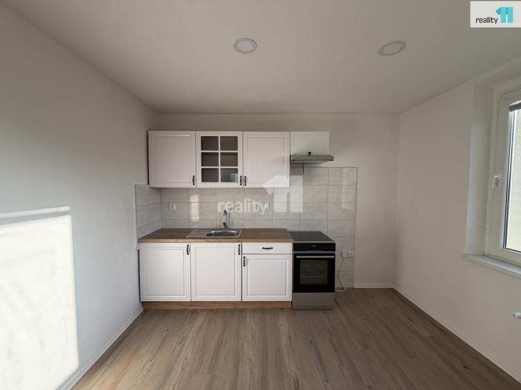 Pronájem bytu 2+1 60 m2