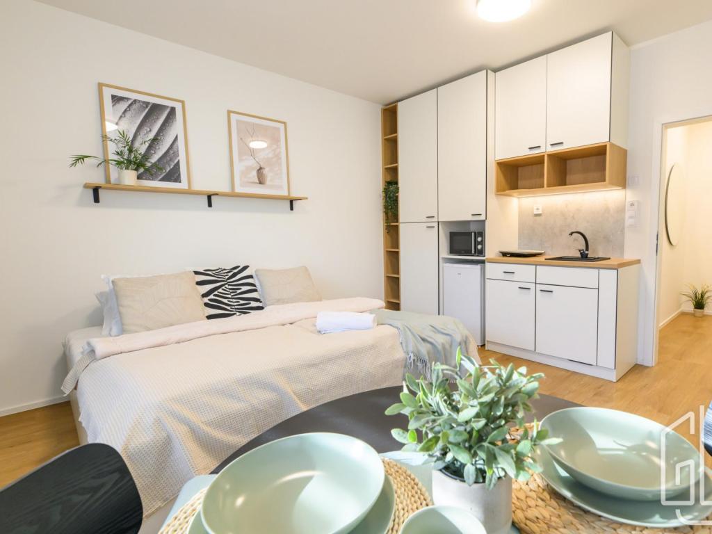 Pronájem bytu 1+kk 28 m2