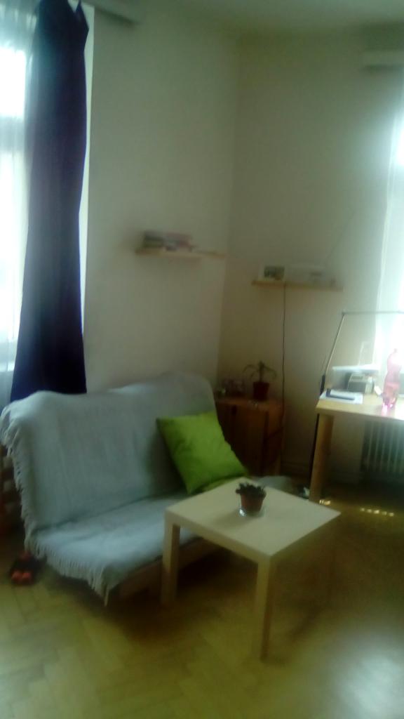Spolubydleni bytu celý pokoj 110 m2