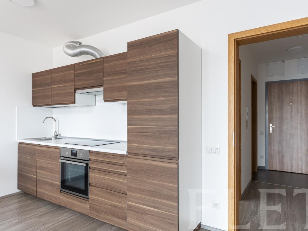 Pronájem bytu 1+kk 48 m2