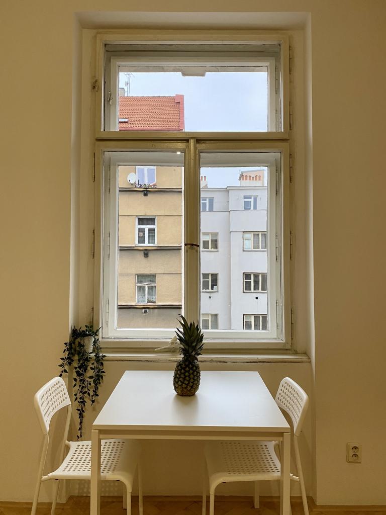 Pronájem bytu 1+kk 28 m2