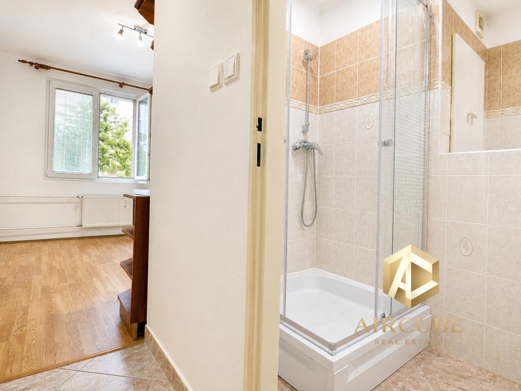 Pronájem bytu 1+1 43 m2