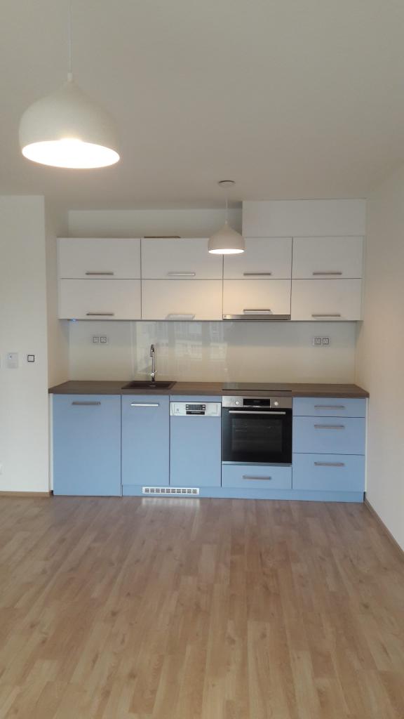 Pronajem bytu 1+kk 45 m2