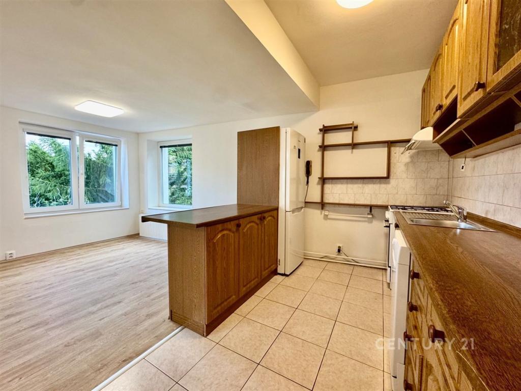 Pronájem bytu 2+kk 47 m2