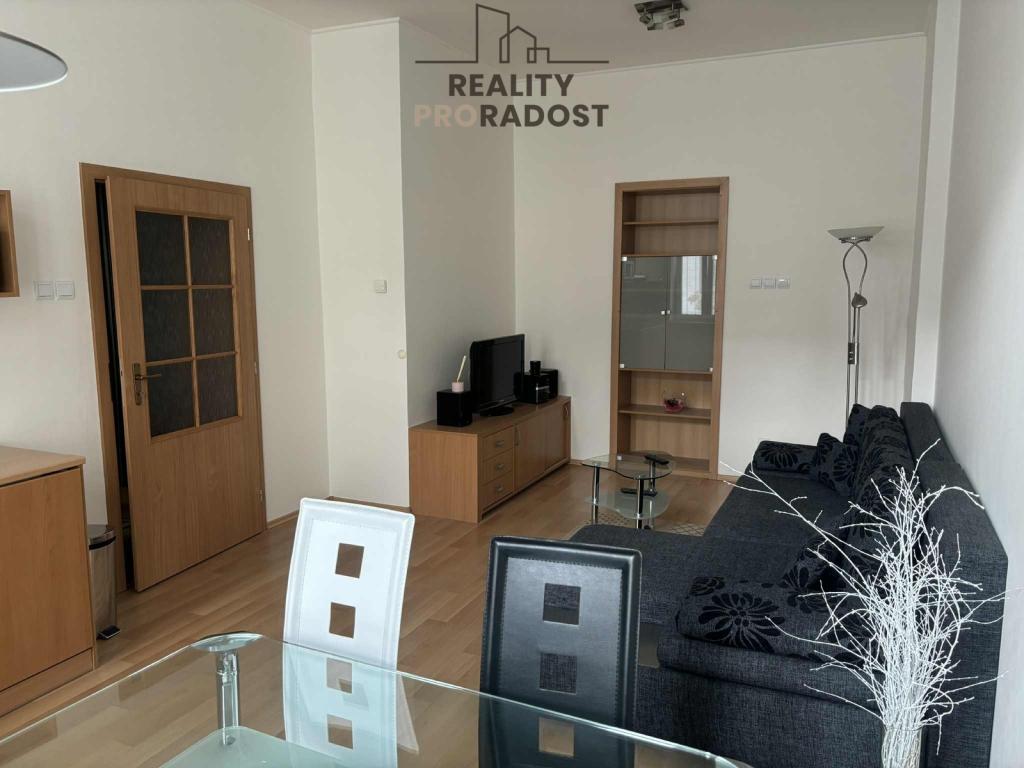 Pronájem bytu 1+kk 46 m2