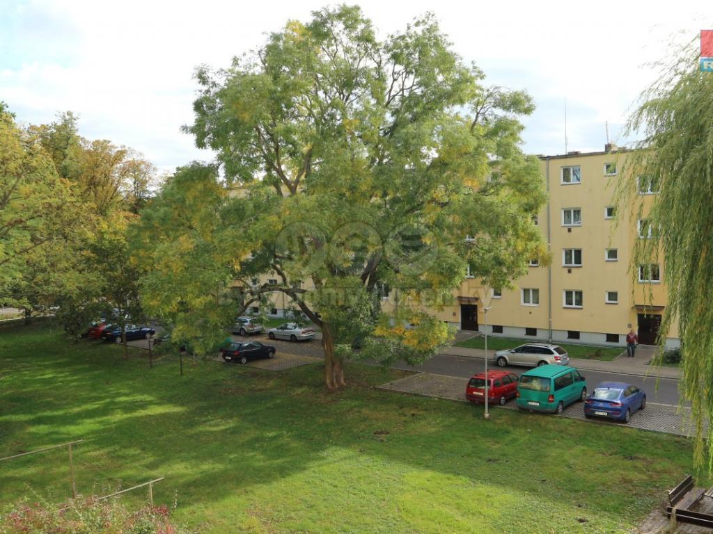 Pronajem bytu 2+1 62 m2
