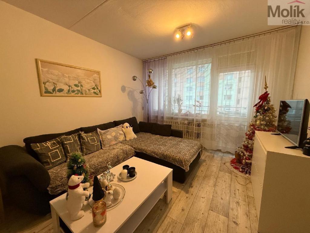 Pronájem bytu 2+1 55 m2