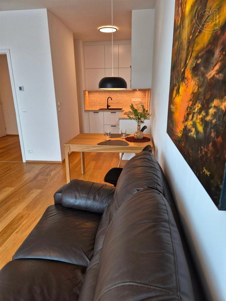 Pronájem bytu 2+kk 50 m2