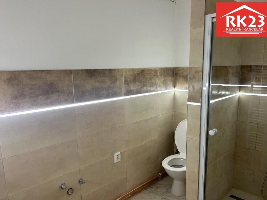Pronájem bytu 1+kk 42 m2