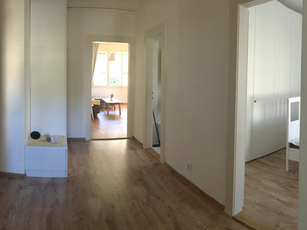 Pronajem bytu 2+1 60 m2