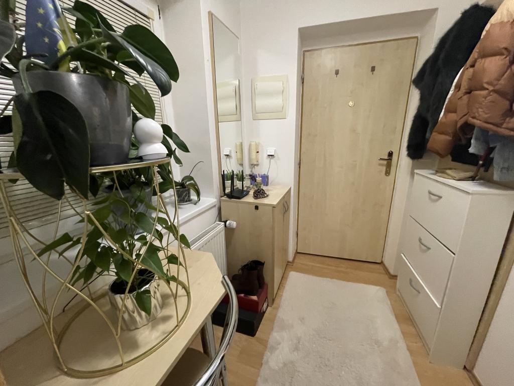 Pronájem bytu 1+kk 25 m2