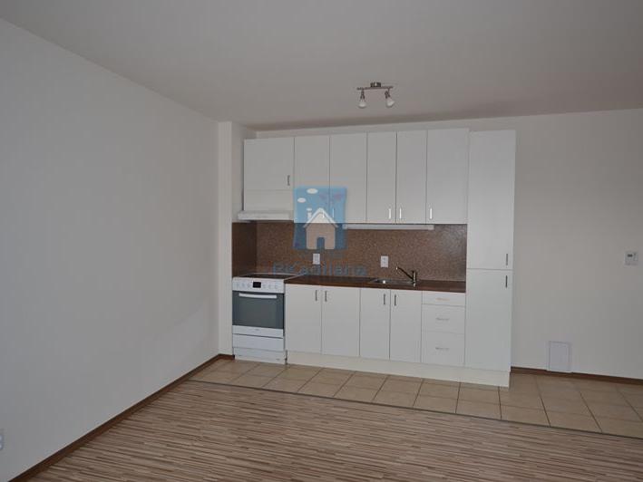 Pronájem 2+kk, Plzeň - Hluboká, 15000 Kč, 65 m2