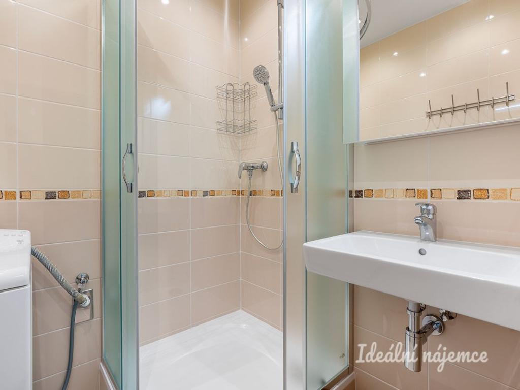 Pronájem bytu 2+1 51 m2