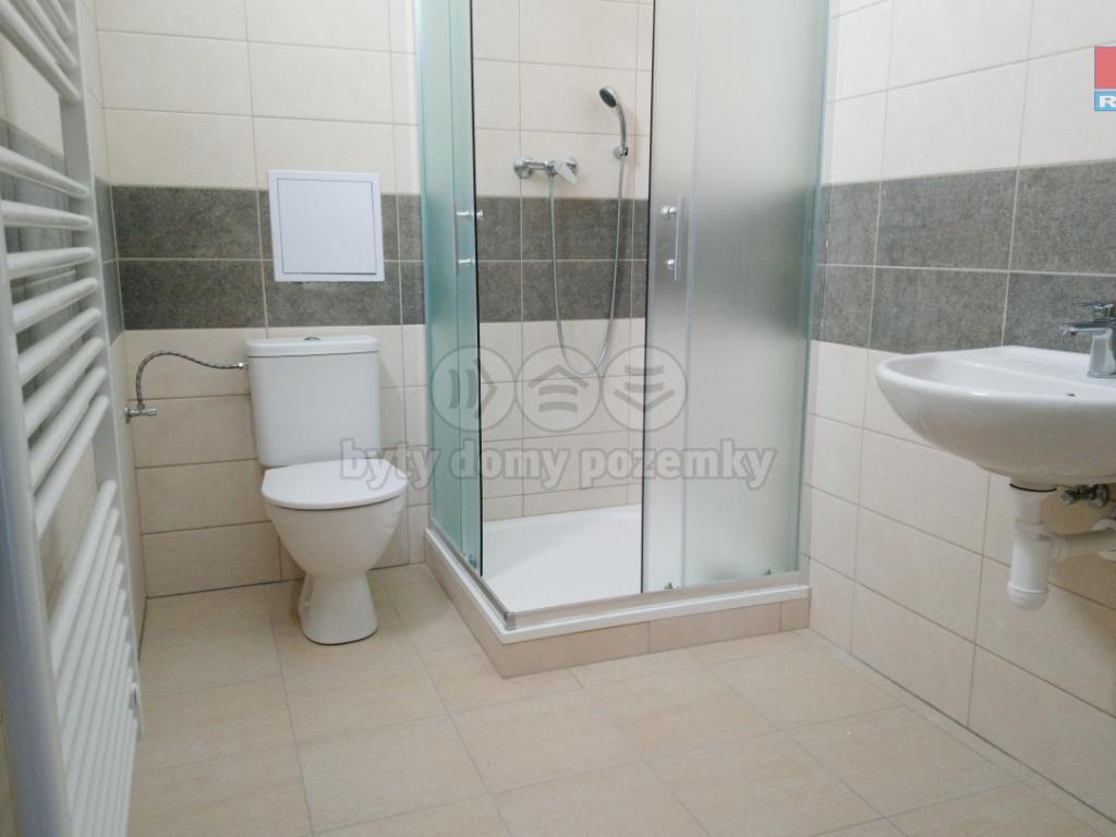 Pronajem bytu 2+kk 46 m2