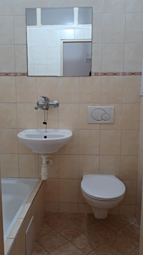 Pronajem bytu 1+1 34 m2