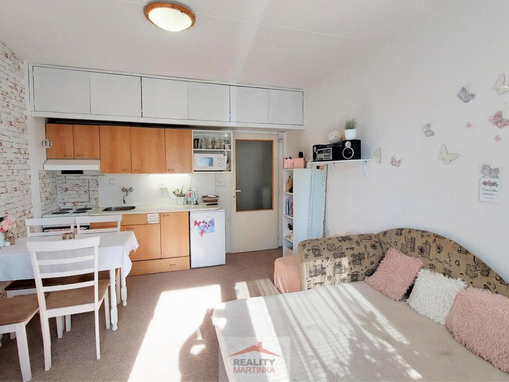 Pronájem bytu 1+kk 24 m2