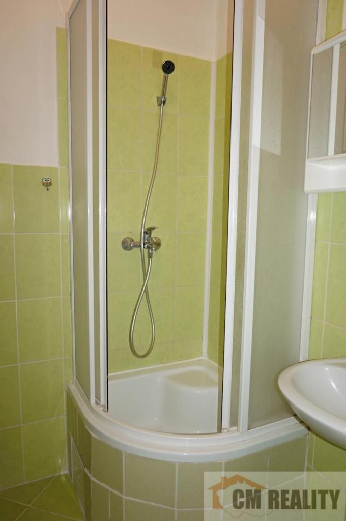 Pronájem bytu 1+1 30 m2