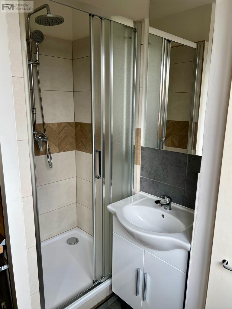 Pronájem bytu 1+1 38 m2