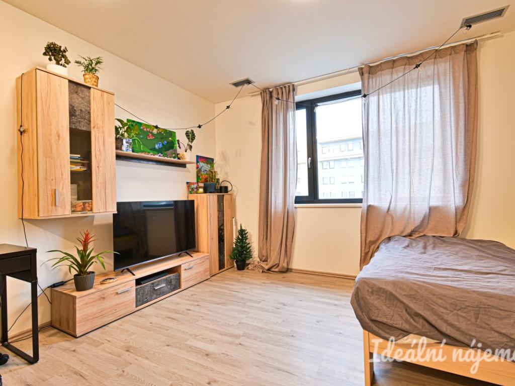 Pronájem bytu 1+kk 34 m2