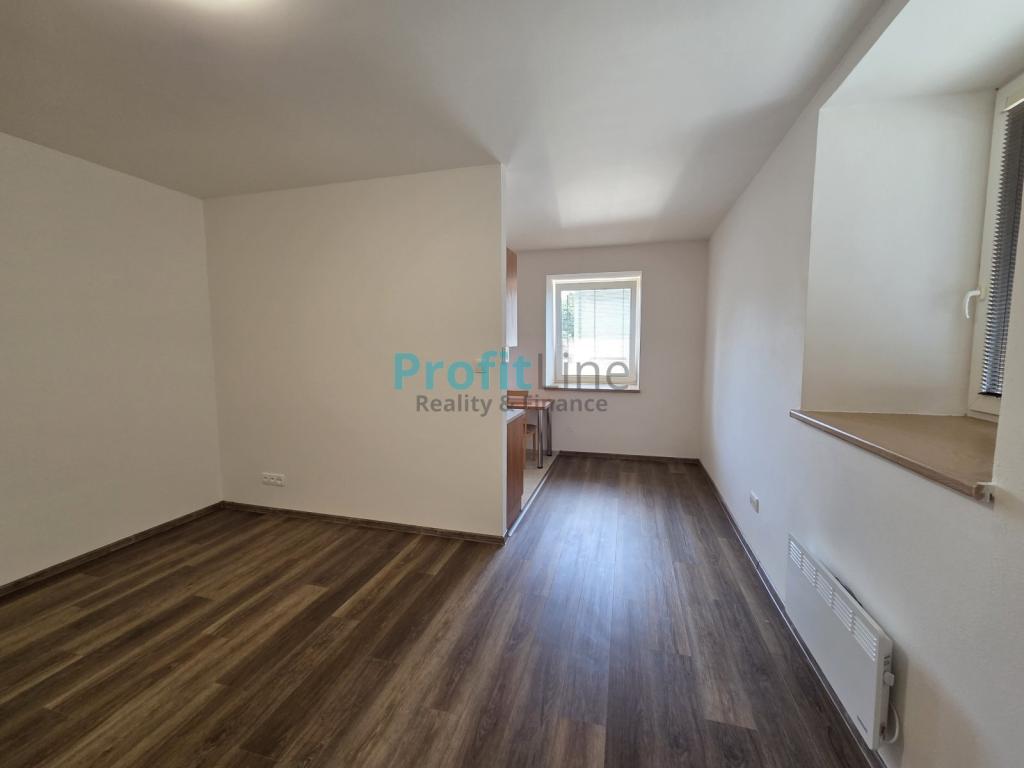 Pronájem bytu 1+kk 38 m2