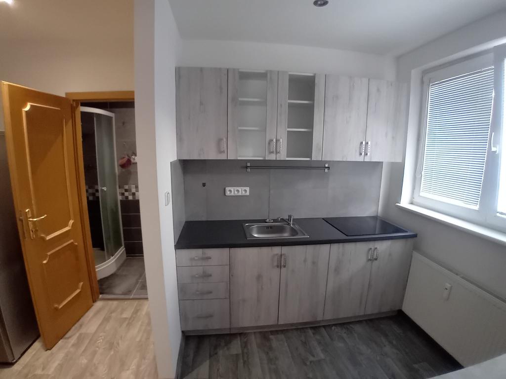 Pronájem bytu 1+1 43 m2