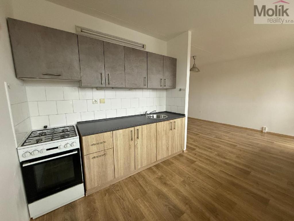 Pronájem bytu 2+1 48 m2
