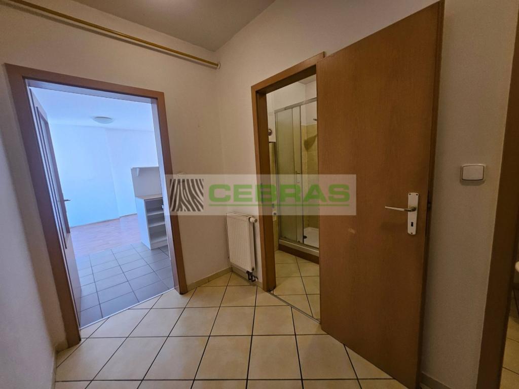Pronájem bytu 1+kk 50 m2