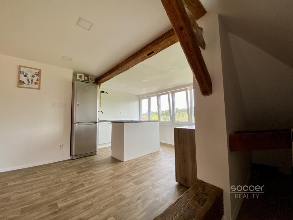 Pronájem bytu 1+kk 45 m2