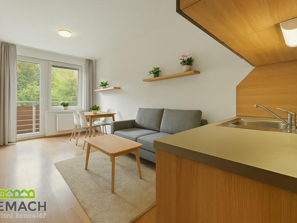 1+kk, Všemina - Všemina, 1590000 Kč, 25 m2