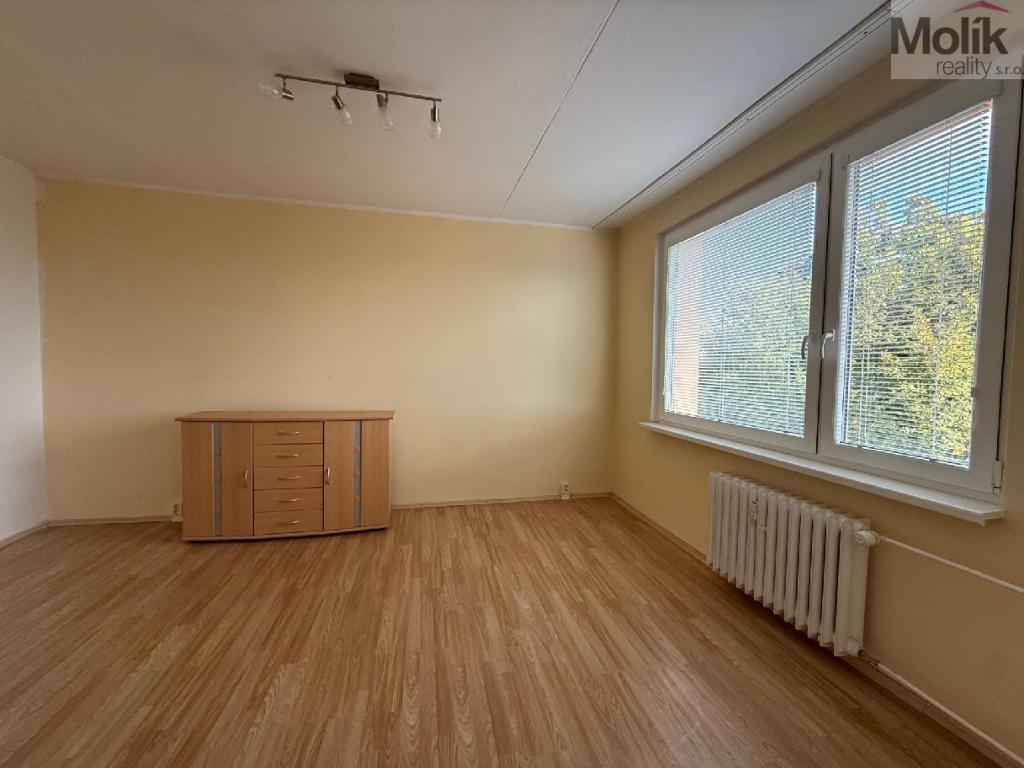 Pronájem bytu 1+1 35 m2
