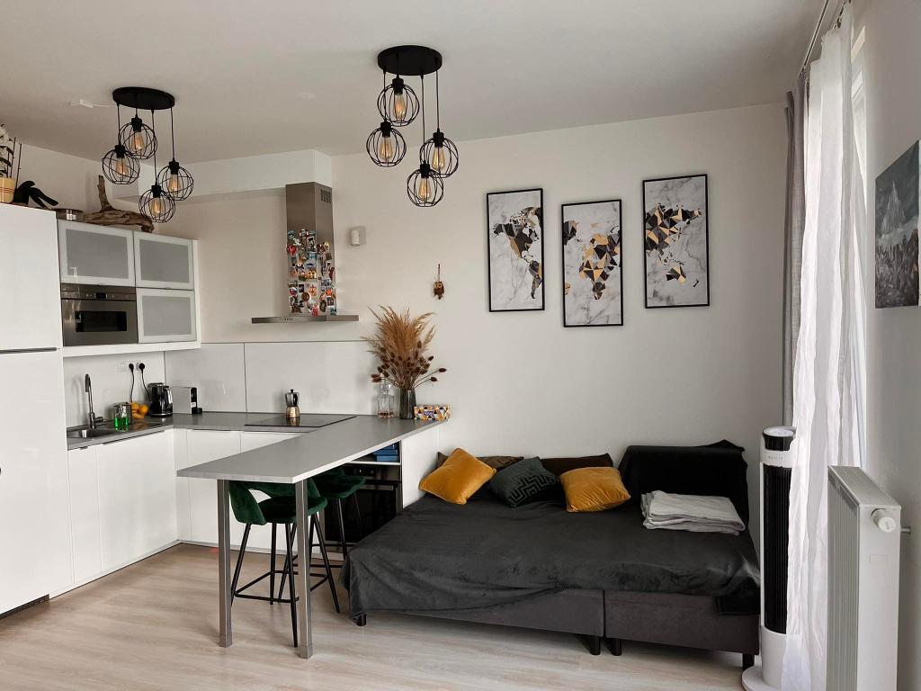 Pronájem bytu 1+kk 36 m2