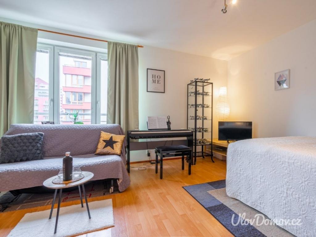 Pronájem bytu 1+kk 33 m2