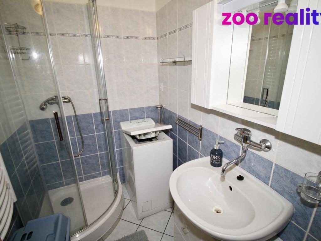 Pronájem bytu 1+1 43 m2