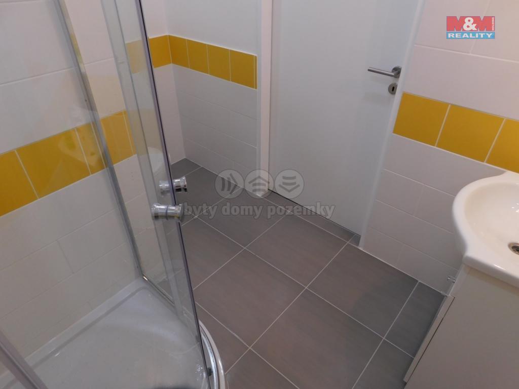 Pronajem bytu 2+kk 54 m2