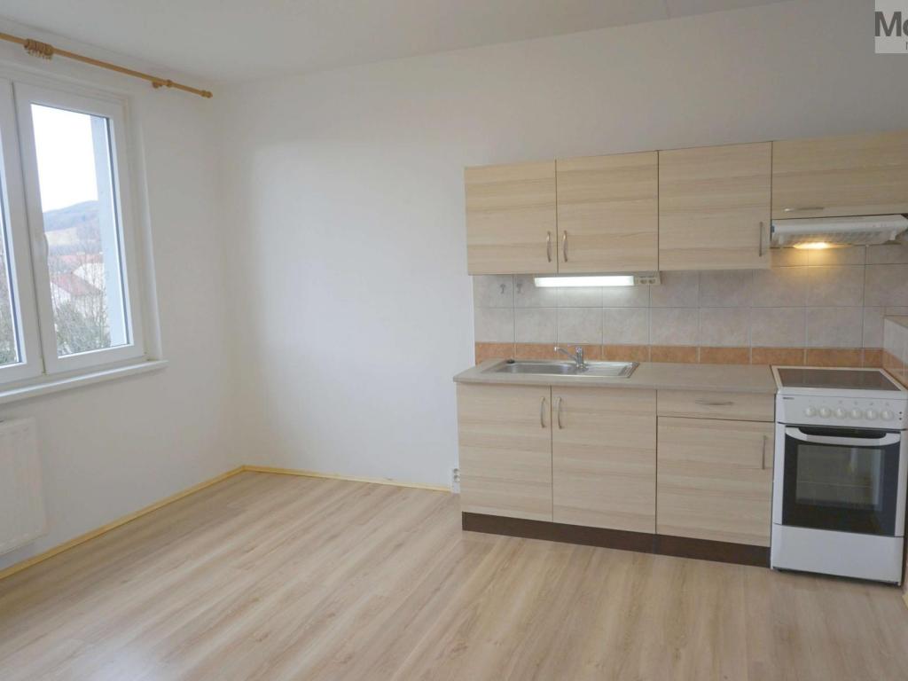 Pronájem bytu 1+1 36 m2