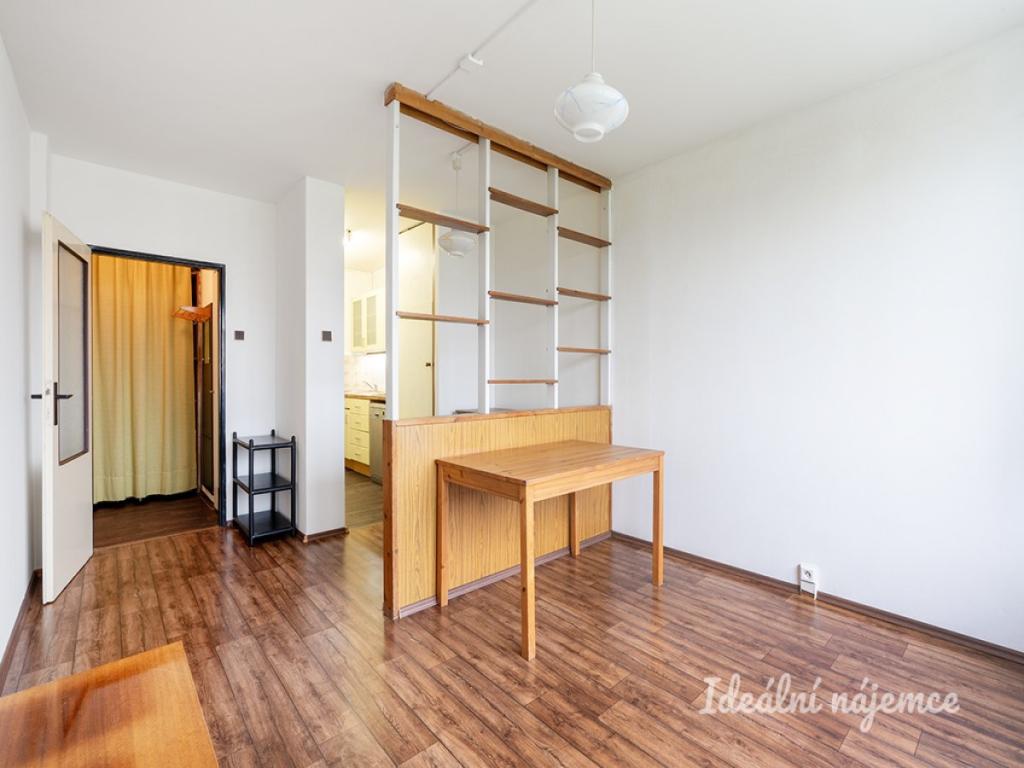 Pronájem bytu 1+1 45 m2