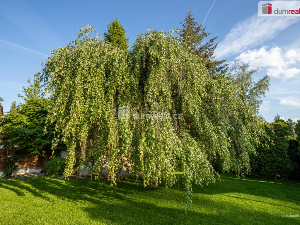 Prodej domu 300 m² – pohled 5