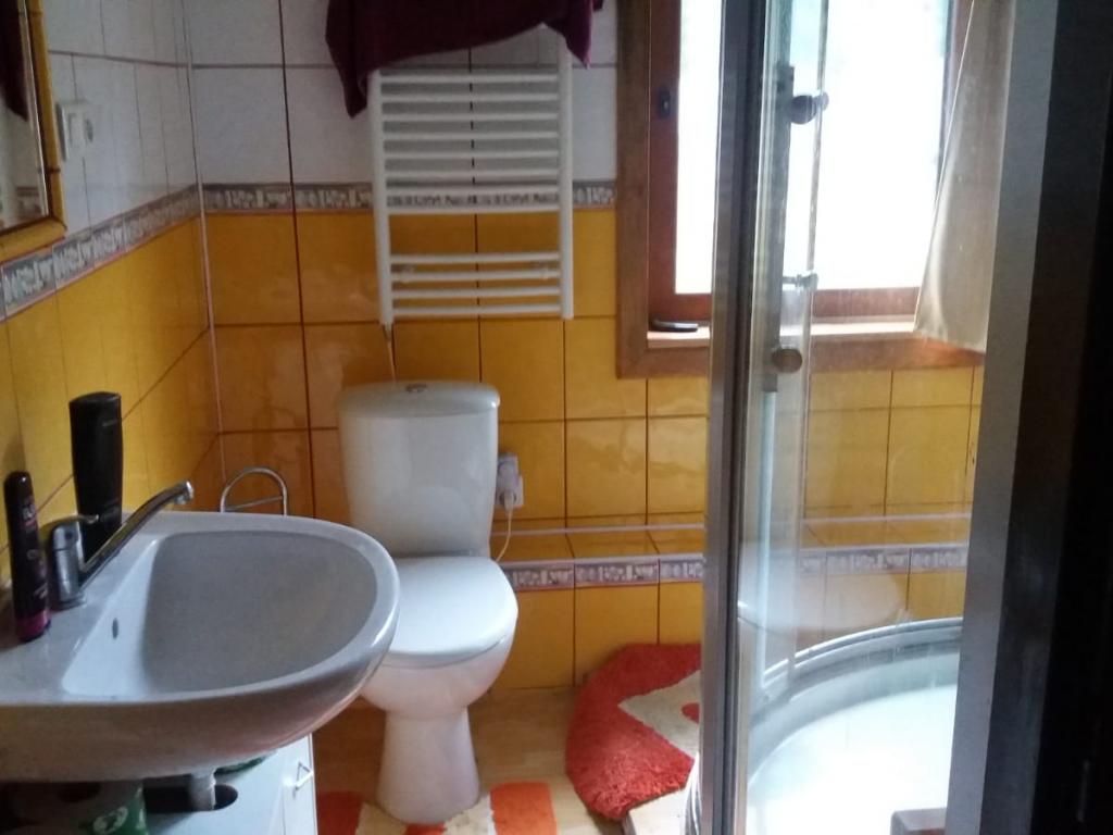 Pronajem bytu 1+kk 45 m2